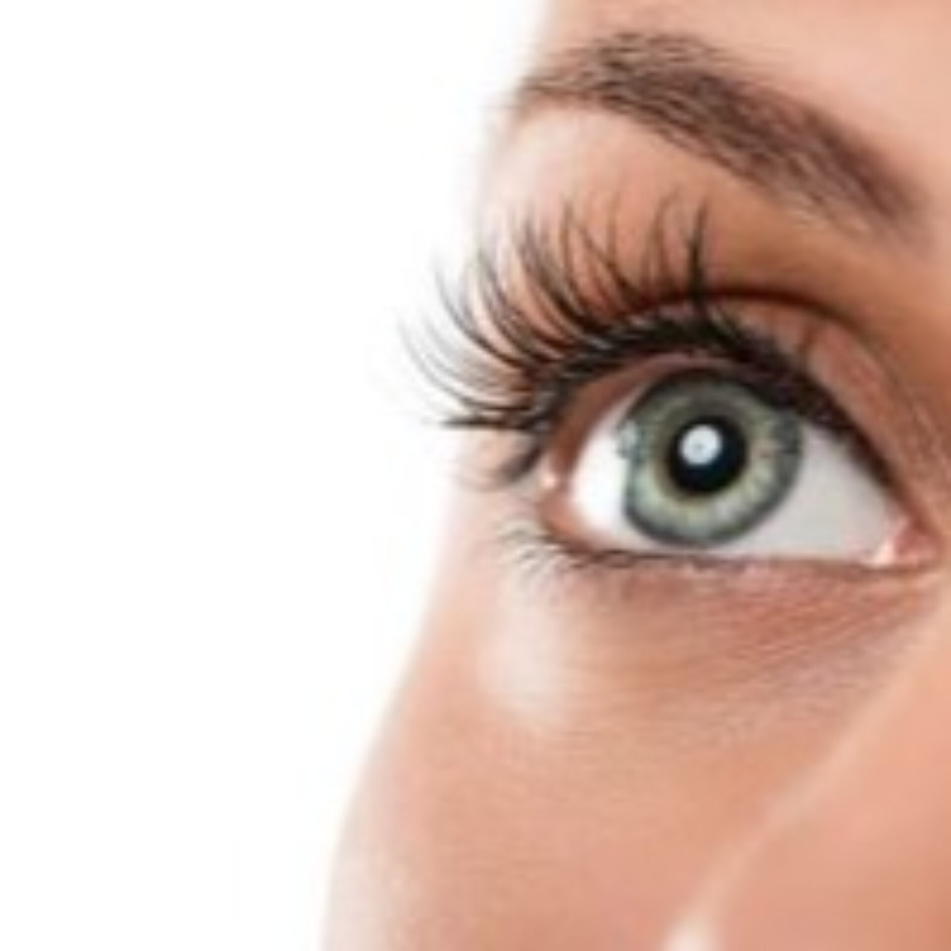 Lash & Brow Services At Muse Hair & Beauty Salon In Broadway, Worcestershire